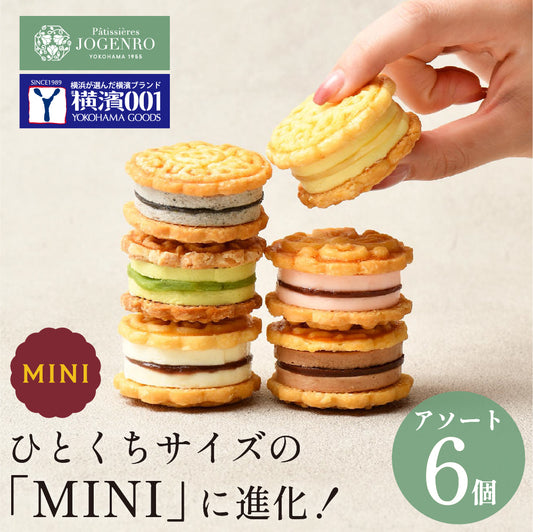 【横濱001認定商品】 CHEESE CAKE GEPPEI -MINI- チーズケーキ月餅ミニ アソート 6種6個