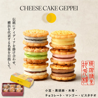 CHEESE CAKE GEPPEI -MINI- チーズケーキ月餅ミニ アソート 6種6個