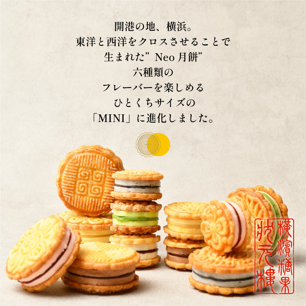 CHEESE CAKE GEPPEI -MINI- チーズケーキ月餅ミニ アソート 6種6個