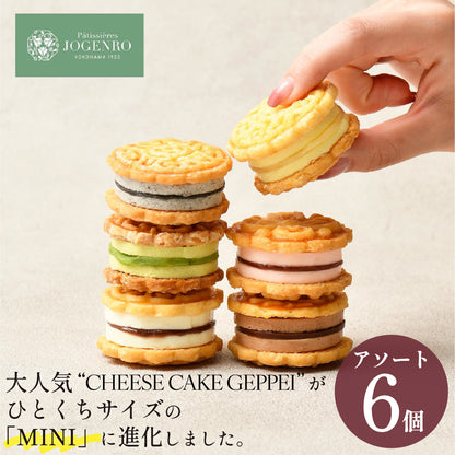 CHEESE CAKE GEPPEI -MINI- チーズケーキ月餅ミニ アソート 6種6個